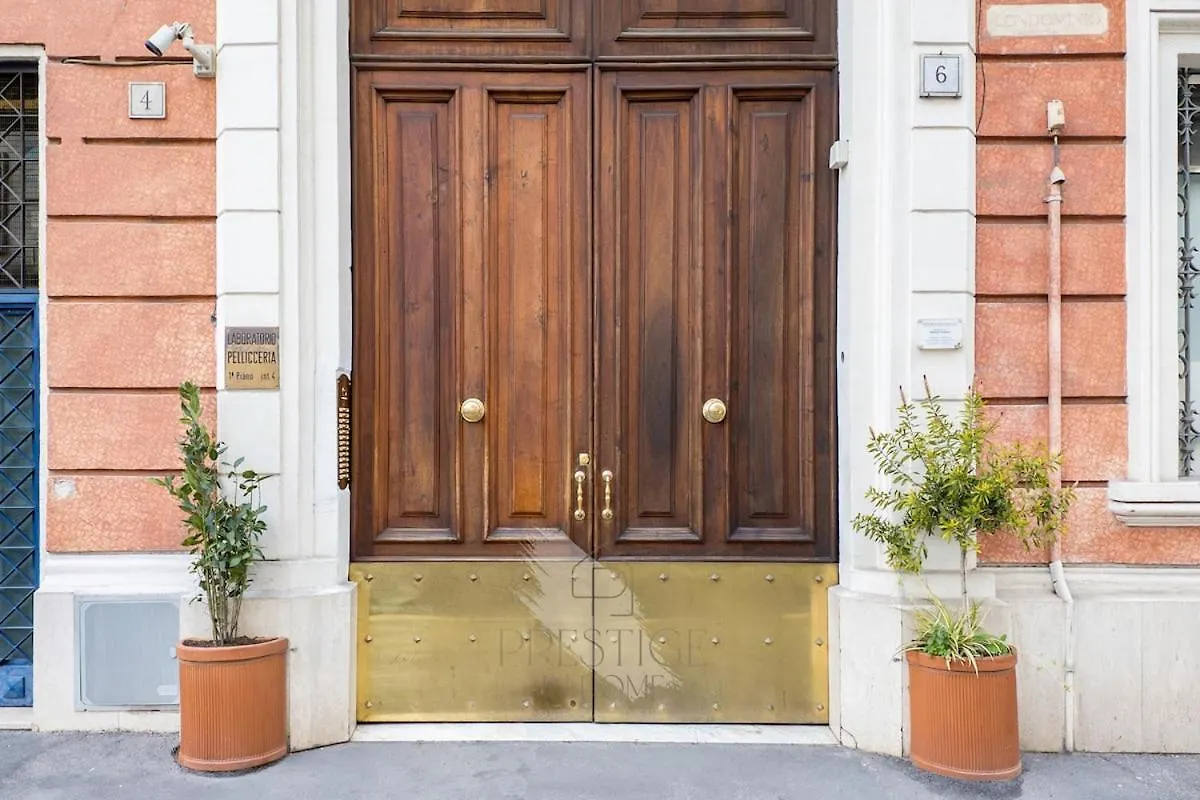 Apartment New! Una Finestra Su San Pietro Rome